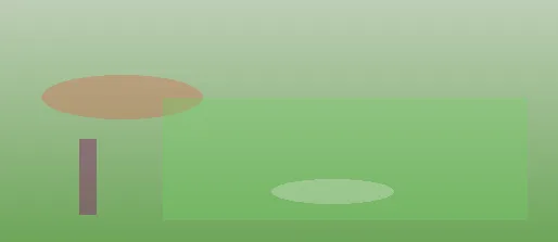 星空体育