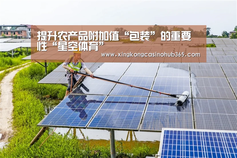 提升农产品附加值“包装”的重要性“星空体育”(图3) 星空官网