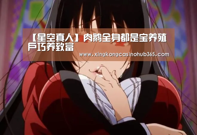 【星空真人】肉鹅全身都是宝养殖户巧养致富(图2) 星空体育
