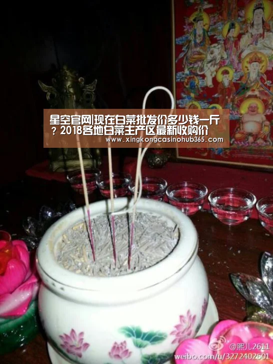 星空官网|现在白菜批发价多少钱一斤?2018各地白菜主产区最新收购价(图1) 星空官网